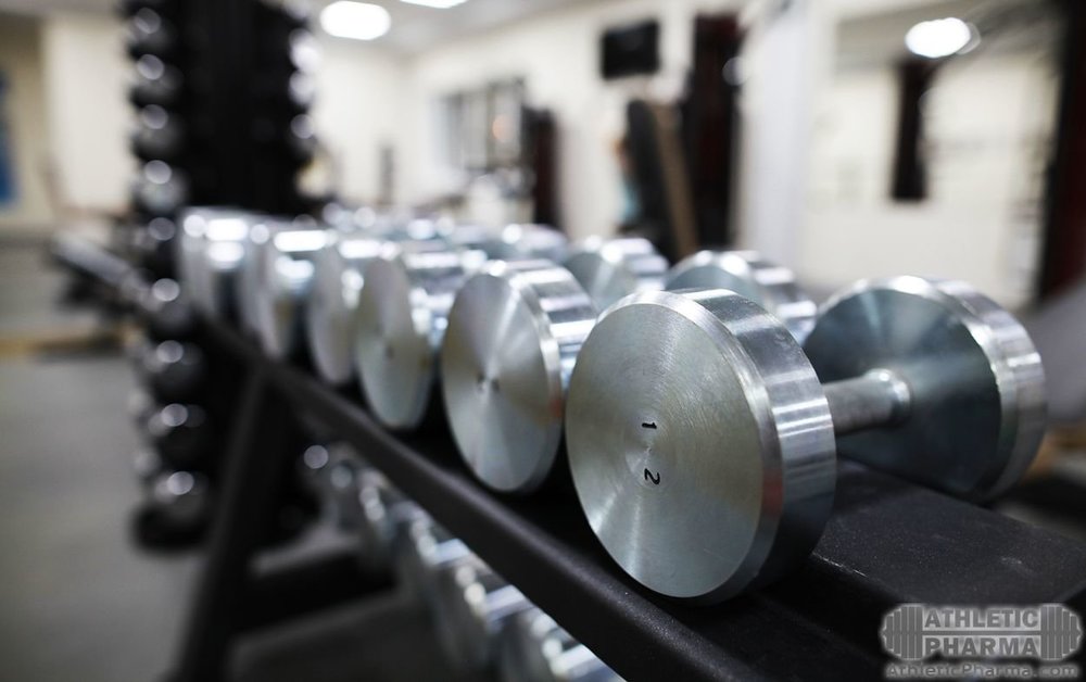 Твоя тренировка